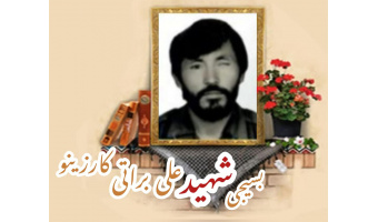 بسیجی شهید علی براتی کارزینو