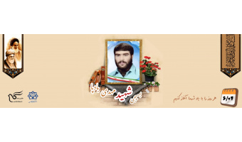 بسیجی شهید مهدی بادپا