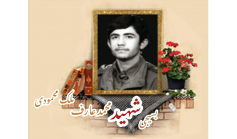 بسیجی شهید محمد عارف ملک محمودی