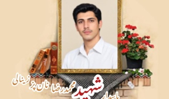 پاسدارشهید محمدرضا نان‌پز زینالی