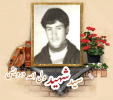 شهید سیدولی الله درویشی