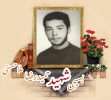 بسیجی شهید حمیدرضا ملاحسنی