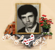 معلم بسیجی شهید محسن پورقاسمی