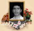 بسیجی شهید محمد فرهادپور