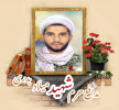 مدافع حرم شهید میلاد بدری