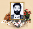 بسیجی شهید محمدحسین جلالوند