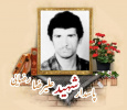 پاسدار شهید علیرضا رضایی شِشده