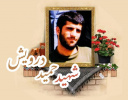 شهید حمید درویش