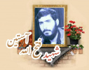 شهید فتح الله آستین