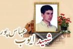 شهید ایوب عباس پور