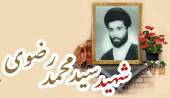 شهید سید محمد رضوی
