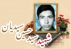 شهید سید حسین سیدیان