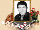 بسیجی شهید حبیب الله حسینیان نژاد