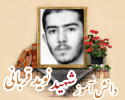 دانش آموز بسیجی شهید نوید قربانی