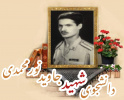 شهیدجاوید نورمحمدی