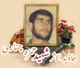 سردار جاوید الاثر شهید حمزه چناری