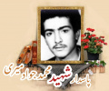 پاسدار شهید محمدجوادمیری