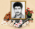 بسیجی شهید محمد محمدخانی