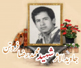 بسیجی جاویدالاثر شهید محمدرضا فروتن