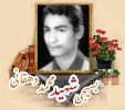 بسیجی شهید محمد دهقانی