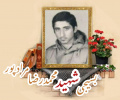 بسیجی شهید محمدرضا مرادپور