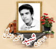 بسیجی شهید احمد بیدگلی