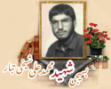 طلبه بسیجی شهید محمدعلی شیخی تبار