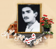 بسیجی شهید عباس رستم زاده