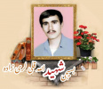 بسیجی شهید الله قلی لری زاده