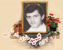 بسیجی شهید هادی پورشکیب