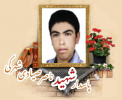 پاسدار شهید ناصر صیادی شهرکی