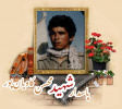 پاسدار شهید محسن کاویان پور
