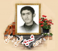 بسیجی شهید فتحعلی رستمی