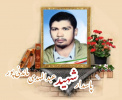 پاسدار شهید عبدالمهدی ماندنی پور