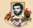 بسیجی شهید صمد بیگ محمدی