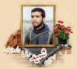 بسیجی شهید رضا داروئیان