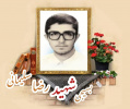 بسیجی شهید رضا سلیمانی