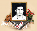 بسیجی شهید علی وطنی چانی