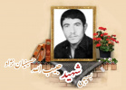 بسیجی شهید حبیب الله حسینیان نژاد