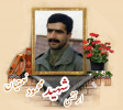 ارتشی شهید محمود نعمتیان