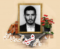 دانشجوی بسیجی شهید محمد رضا سیفی
