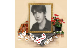 بسیجی شهید یونس لشینی