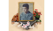 پاسدار شهید امیر منطقی