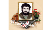پاسدار شهید سید رضا ایلالی