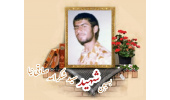 بسیجی شهید سیدشکرالله صادقی‌نیا