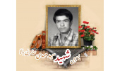 بسیجی شهید سیدمهدی ریزویی بالا