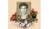 بسیجی شهید عباس نبی پور