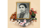 بسیجی شهید محمدحسن فتحی طرقبه