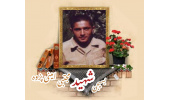 بسیجی شهید مجتبی امینی پزوه