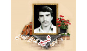 بسیجی شهید سیدمحمد میردهقان تفت